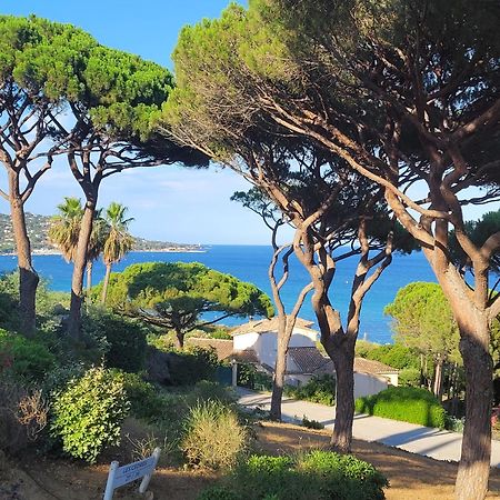 Appartement Vue Mer 200 M Des Plages - Djumbo Sainte-Maxime Ngoại thất bức ảnh